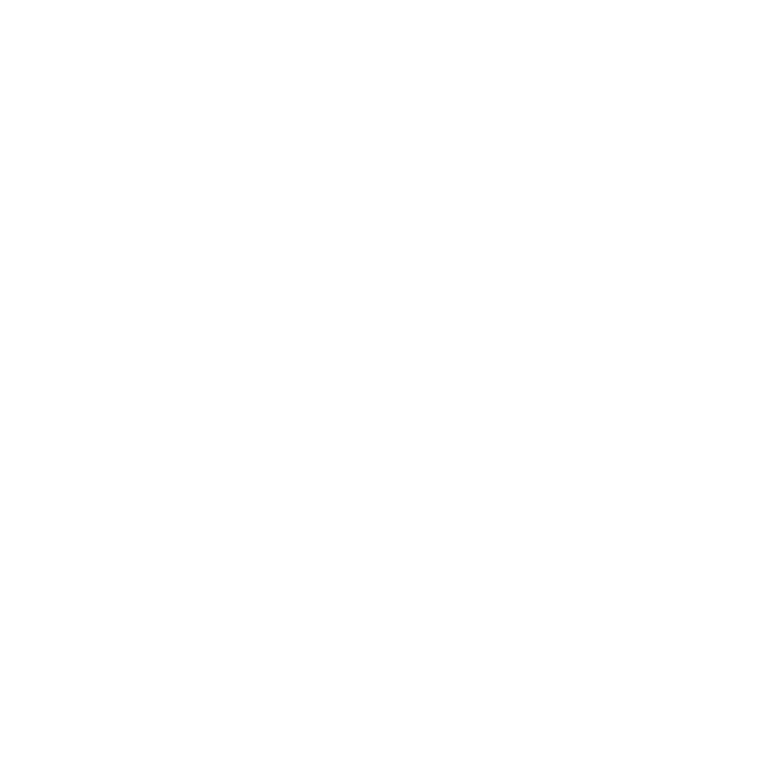 Sky-Walkers Logo